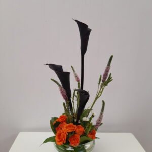 Eclipse Floral