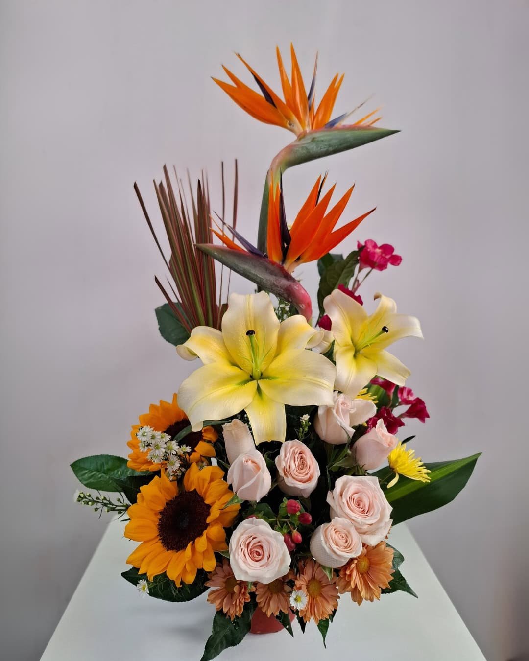 BCE-001 SOLARIS CERÁMICA GIRASOLES TROPICAL