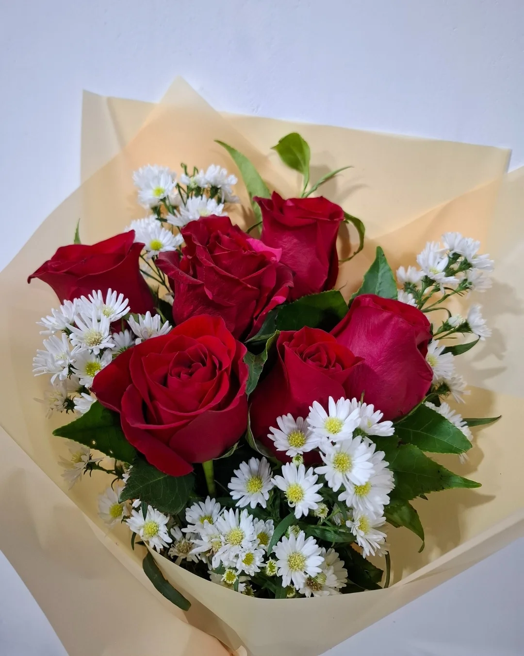 PRS-953 RUBÍ RAMO ROSAS ROJAS SILVESTRE | PRS-953